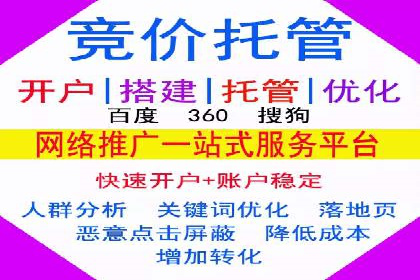 竞价推广代运营：成功案例解析